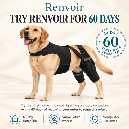 Renvoir Dog Knee Brace